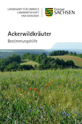 Vorschaubild zum Artikel Ackerwildkräuter - Kennartenfächer