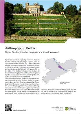 Vorschaubild zum Artikel Steckbrief ˈAnthropogene Bödenˈ (Weinbergboden)