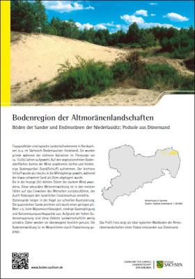 Steckbrief Podsole aus Dünensand