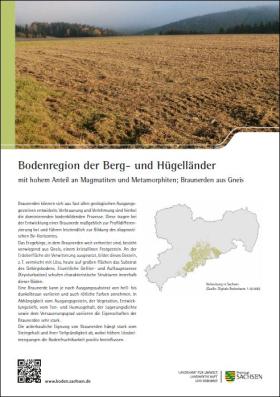 Steckbrief ˈBraunerden aus Gneisˈ