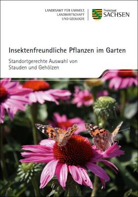 Vorschaubild zum Artikel Insektenfreundliche Pflanzen im Garten