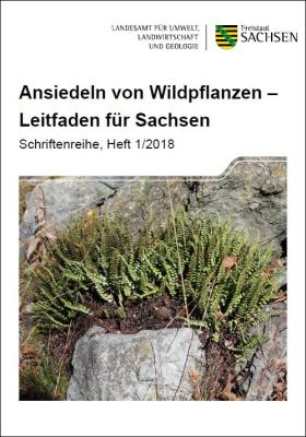 Ansiedeln von Wildpflanzen – Leitfaden für Sachsen