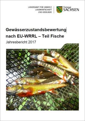 Vorschaubild zum Artikel Gewässerzustandsbewertung nach EU-WRRL – Teil Fische