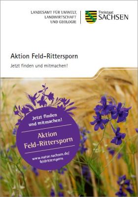 Aktion Feld-Rittersporn