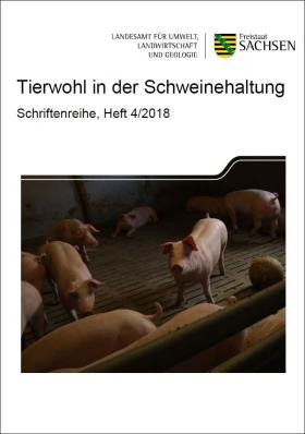 Tierwohl in der Schweinehaltung