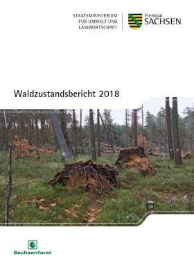 Vorschaubild zum Artikel Waldzustandsbericht 2018