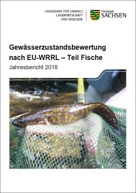 Gewässerzustandsbewertung nach EU-WRRL - Teil Fische 2018