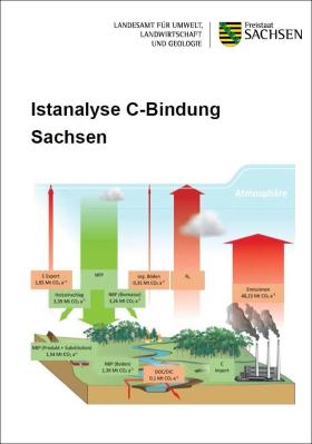 Istanalyse C-Bindung Sachsen