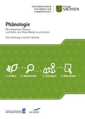 Phänologie