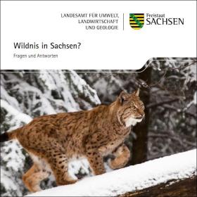 Wildnis in Sachsen?