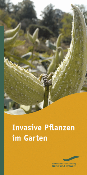 Titelbild Invasive Pflanzen im Garten