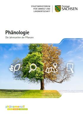 Vorschaubild zum Artikel Phänologie Die Jahreszeiten der Pflanzen