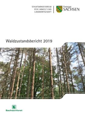Vorschaubild zum Artikel Waldzustandsbericht 2019