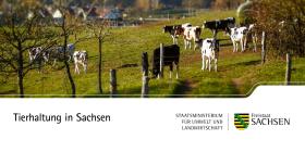 Vorschaubild zum Artikel Tierhaltung in Sachsen