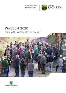 Vorschaubild zum Artikel Waldpost 2020