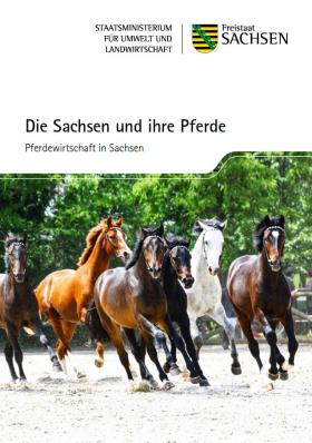 Die Sachsen und ihre Pferde