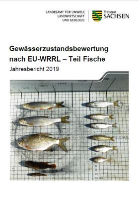 Vorschaubild zum Artikel Gewässerzustandsbewertung nach EU-WRRL – Teil Fische