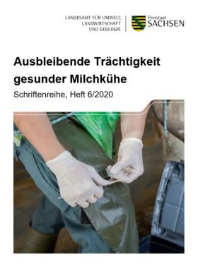 Ausbleibende Trächtigkeit gesunder Milchkühe