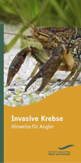 Vorschaubild zum Artikel Invasive Krebse