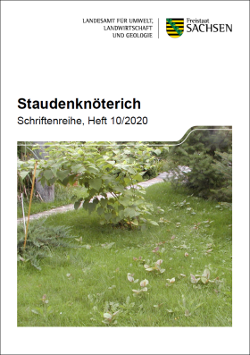 Staudenknöterich