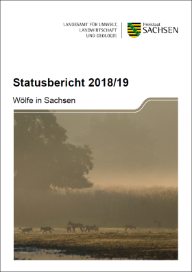 Statusbericht 2018/19 - Wölfe in Sachsen