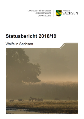 Vorschaubild zum Artikel Wölfe in Sachsen –  Statusbericht für das Jahr 2018/19