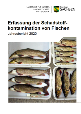 Erfassung der Schadstoffkontamination von Fischen - Jahresbericht 2020