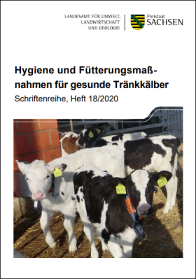 Hygiene und Fütterungsmaßnahmen für gesunde Tränkkälber