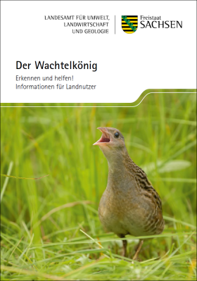 Der Wachtelkönig