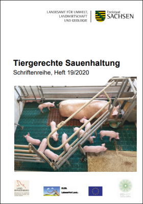 Vorschaubild zum Artikel Tiergerechte Sauenhaltung