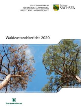 Vorschaubild zum Artikel Waldzustandsbericht 2020