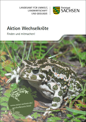 Aktion Wechselkröte