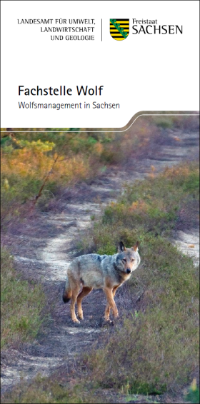 Vorschaubild zum Artikel Fachstelle Wolf