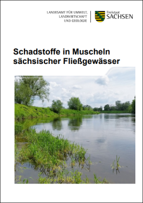 Vorschaubild zum Artikel Schadstoffe in Muscheln sächsischer Fließgewässer