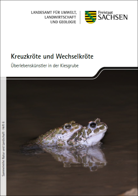 Vorschaubild zum Artikel Kreuzkröte und Wechselkröte