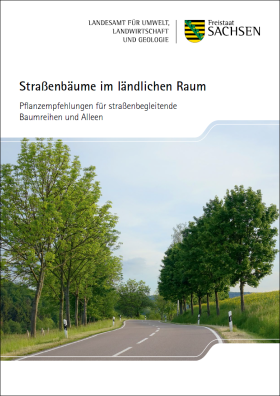 Straßenbäume im ländlichen Raum