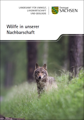 Wölfe in unserer Nachbarschaft