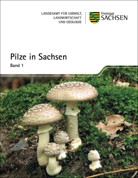 Vorschaubild zum Artikel Pilze in Sachsen