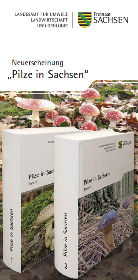 Vorschaubild zum Artikel Faltblatt zur Neuerscheinung "Pilze in Sachsen"