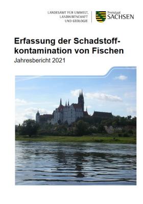Erfassung der Schadstoffkontamination von Fischen im Freistaat Sachsen – Jahresbericht 2021
