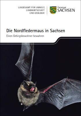 Vorschaubild zum Artikel Die Nordfledermaus in Sachsen