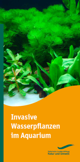 Titelbild Invasive Wasserpflanzen