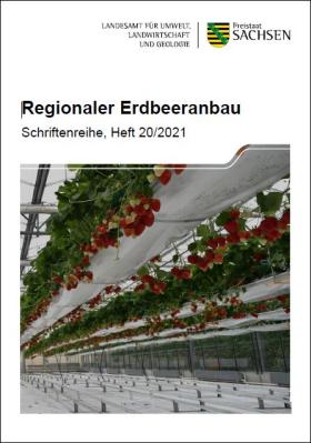 Vorschaubild zum Artikel Regionaler Erdbeeranbau