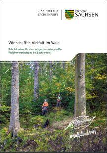 Vorschaubild zum Artikel Wir schaffen Vielfalt im Wald