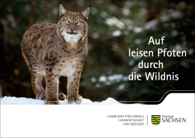 Auf leisen Pfoten durch die Wildnis