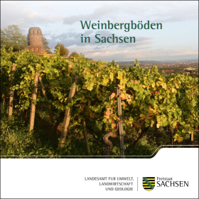 Weinbergböden in Sachsen