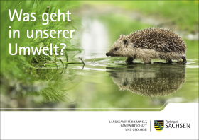 Was geht in unserer Umwelt?