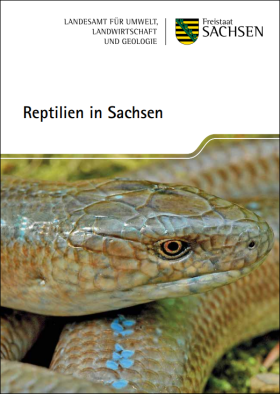 Reptilien in Sachsen