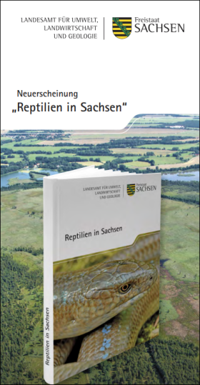 Vorschaubild zum Artikel Faltblatt zur Neuerscheinung "Reptilien in Sachsen"