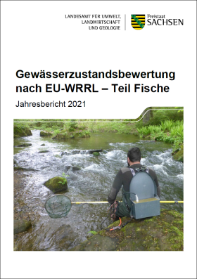 Vorschaubild zum Artikel Gewässerzustandsbewertung nach EU-WRRL - Teil Fische